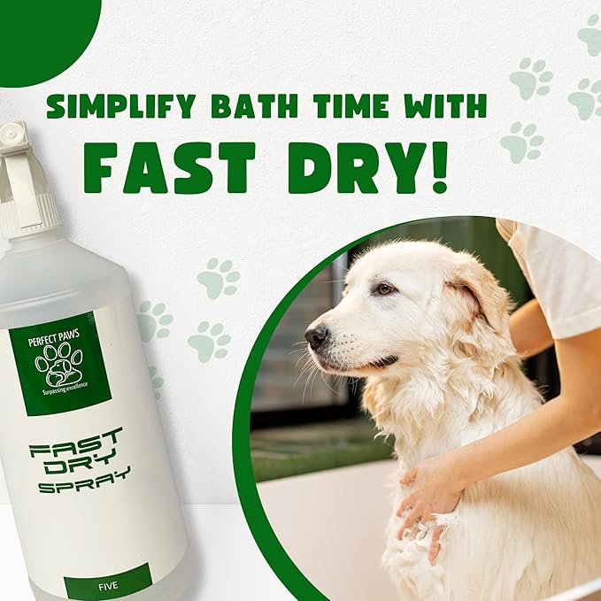 1L Fast Dry - 6 Fragrances