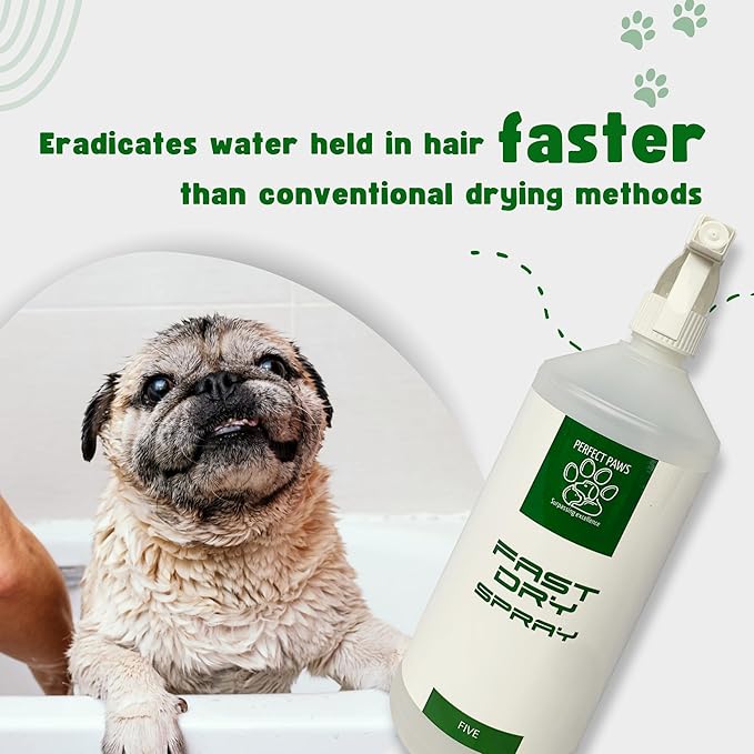 1L Fast Dry - 6 Fragrances