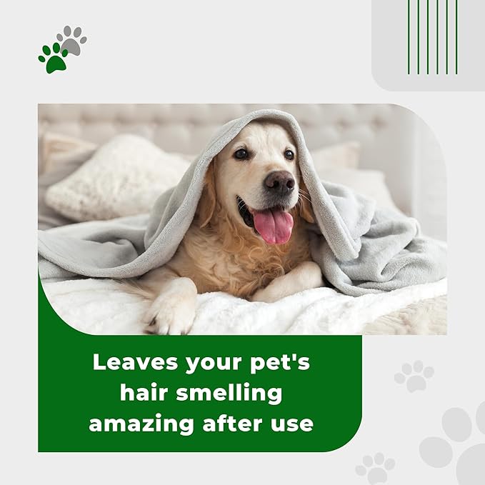 1L Fast Dry - 6 Fragrances