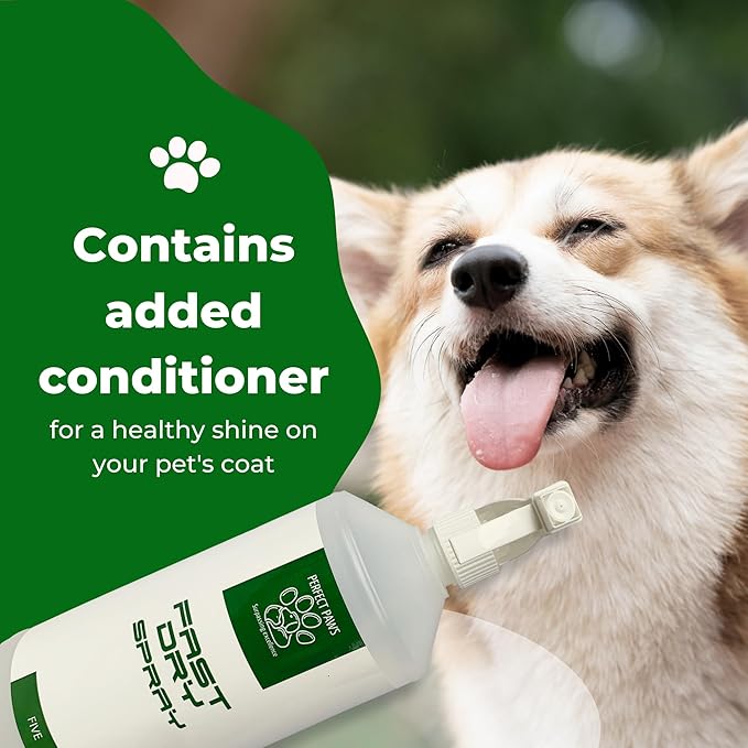 1L Fast Dry - 6 Fragrances