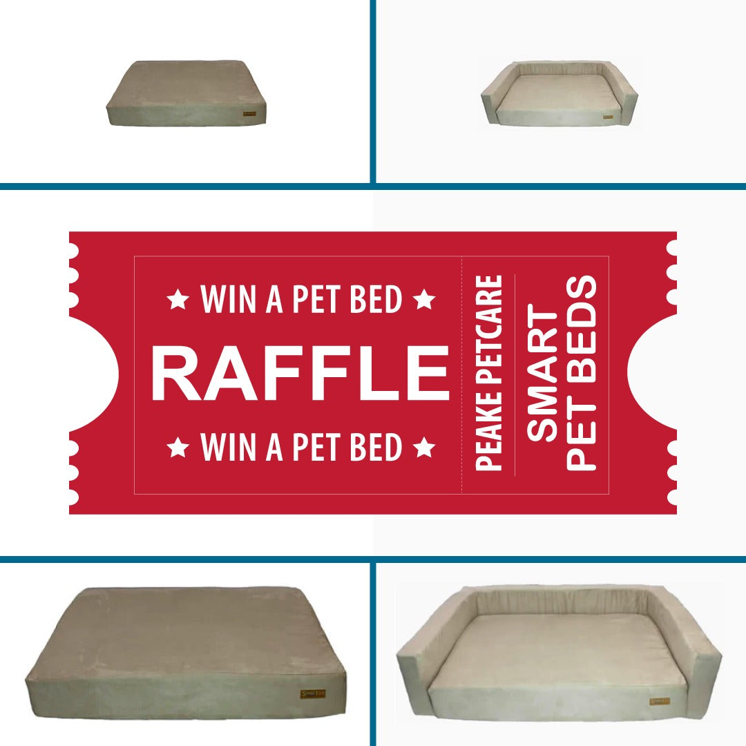 RAFFLE: WIN A SMART PET BED